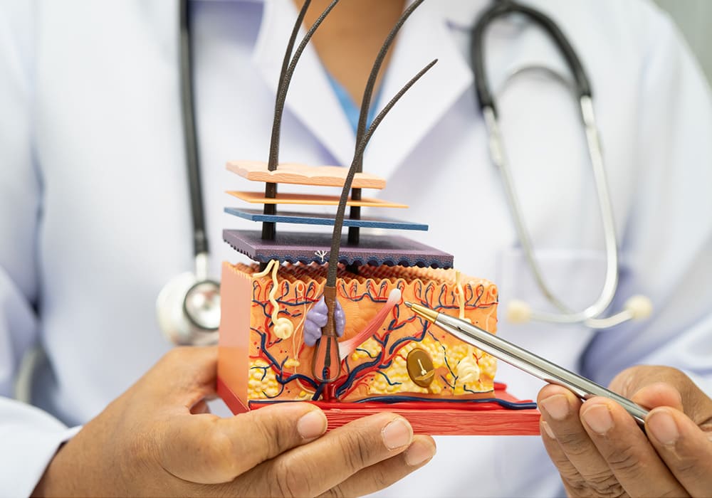 How Dermatologists Detect Skin Cancer Early: The Role of Dermatoscopes