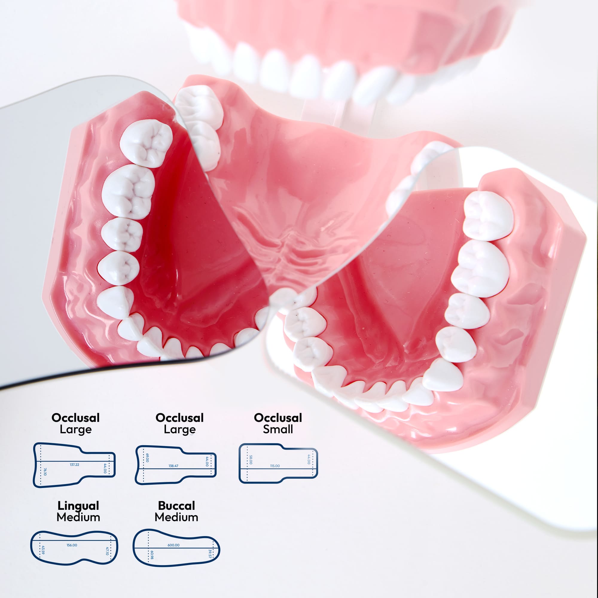 Dental model with photo mirror sizes and shapes